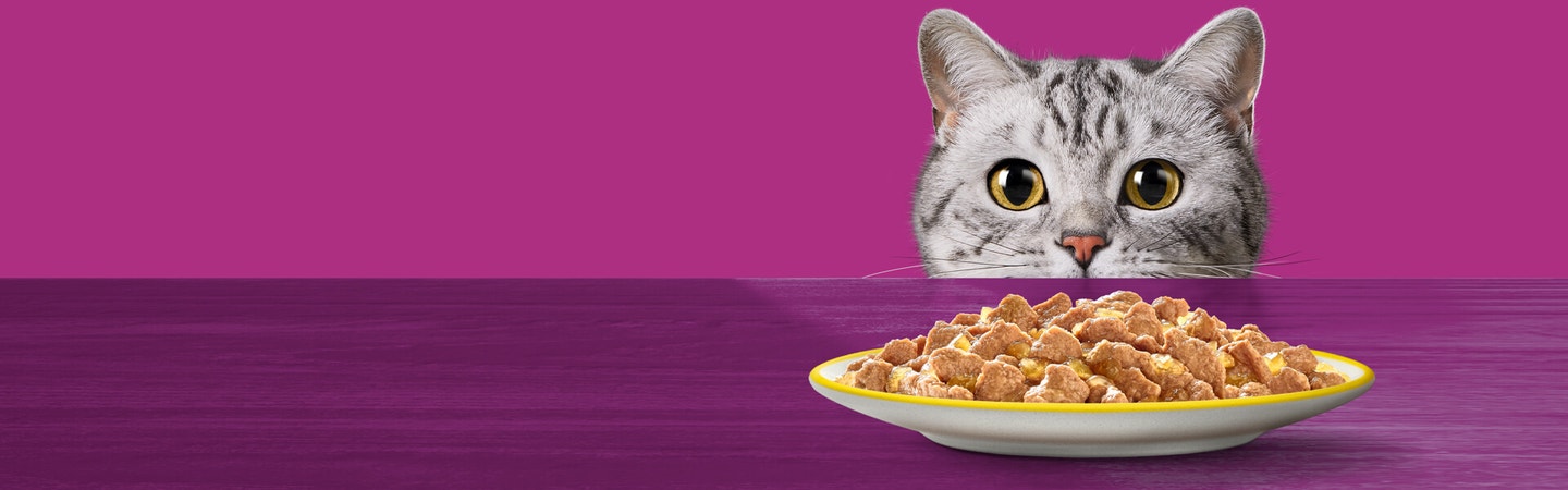 Homepage hero adult image