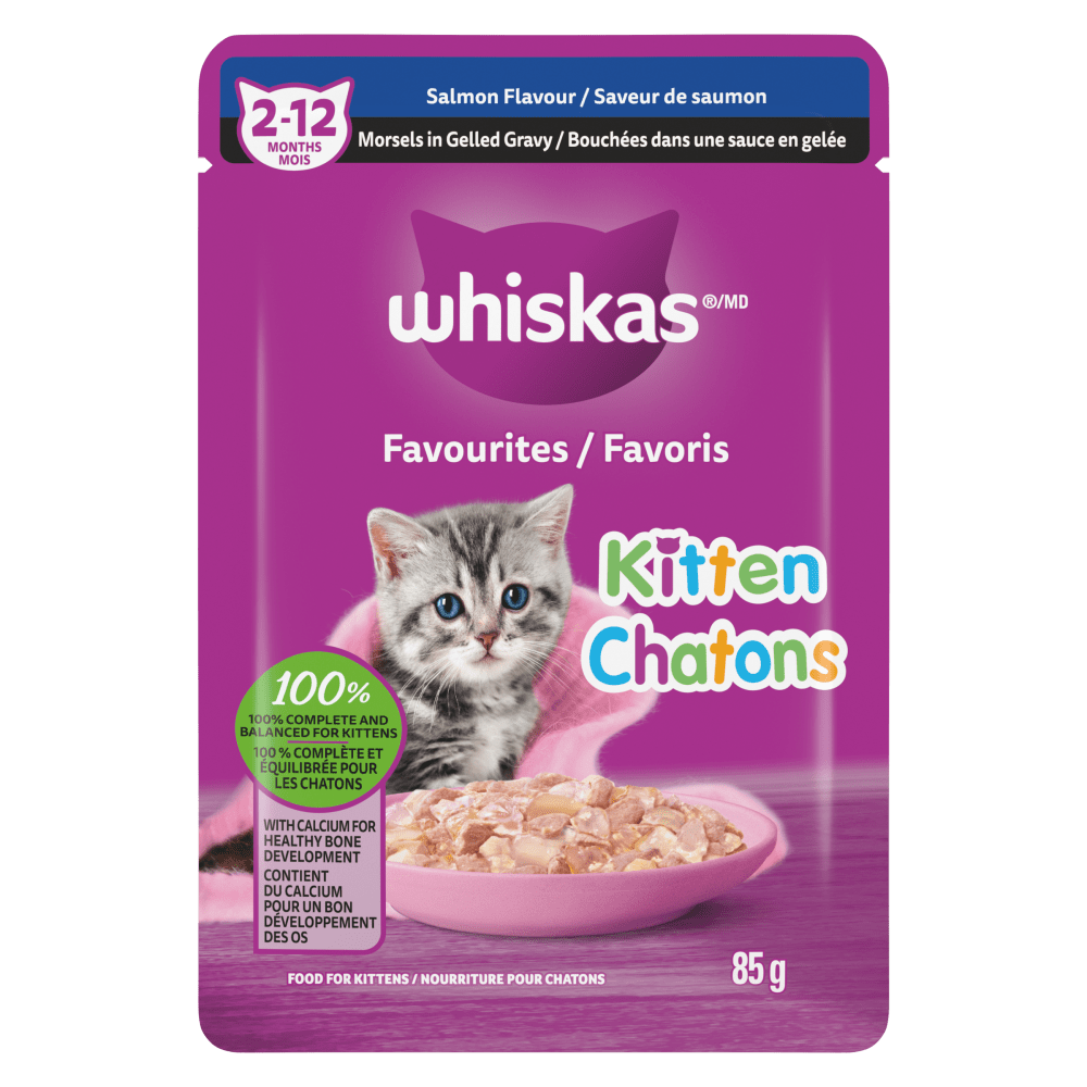 Can You Give an Adult Cat Kitten Wet Food? Expert Insights!