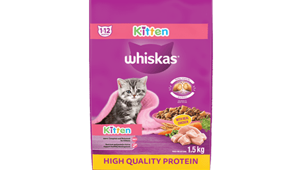 Kitten products list image