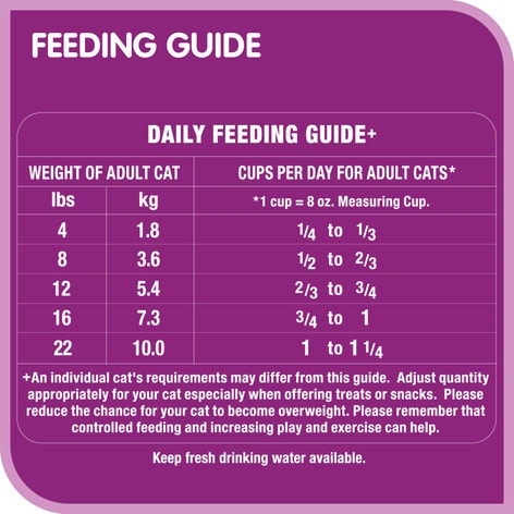 WHISKAS® BEEF SELECTIONS™ Natural Beef Flavour image 1