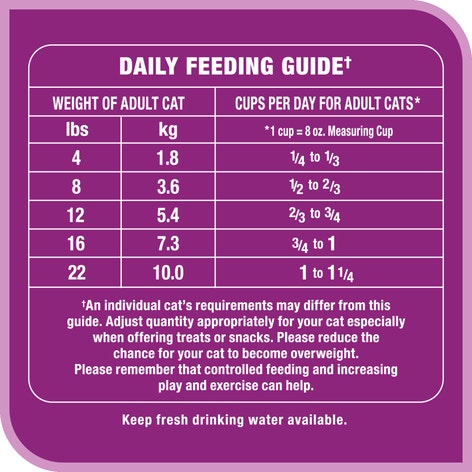 WHISKAS® BEEF SELECTIONS™ Natural Beef Flavour image 1