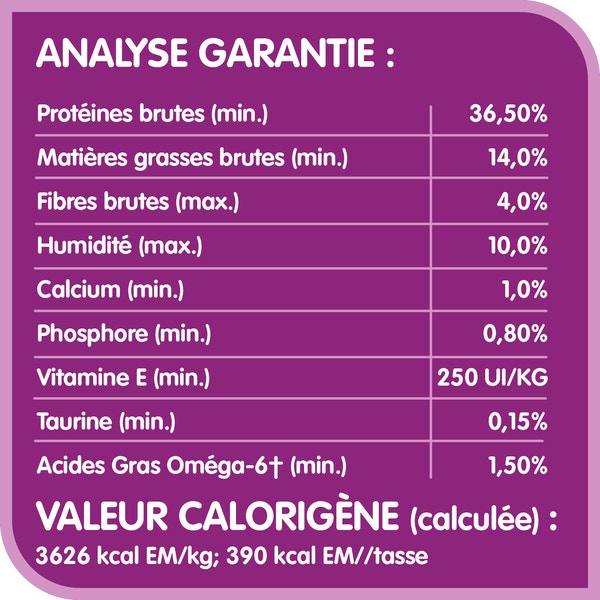 Nourriture sèche pour chats adultes WHISKAS(MD) TENEUR ÉLEVÉE EN PROTÉINES avec poulet véritable image 3