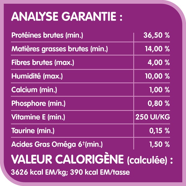 Nourriture sèche pour chats adultes WHISKAS(MD) TENEUR ÉLEVÉE EN PROTÉINES avec poulet véritable image 3